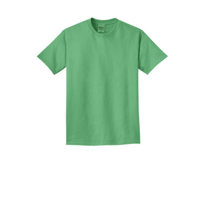 Port and Company Beach Wash Garment Dyed Tee Guacamole